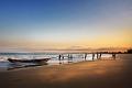 557 - MORNING ACTIVITY - ZEN ADITHYA - indonesia
